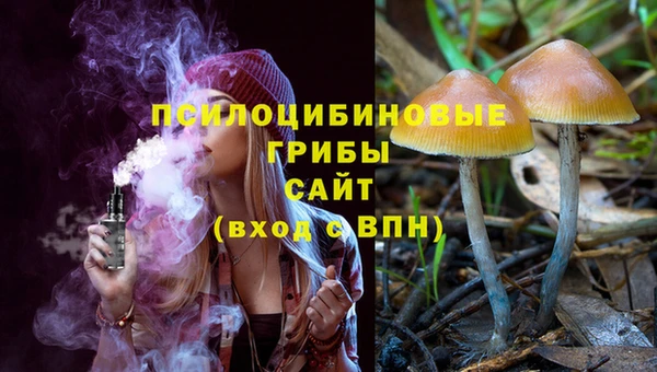 гашик Баксан