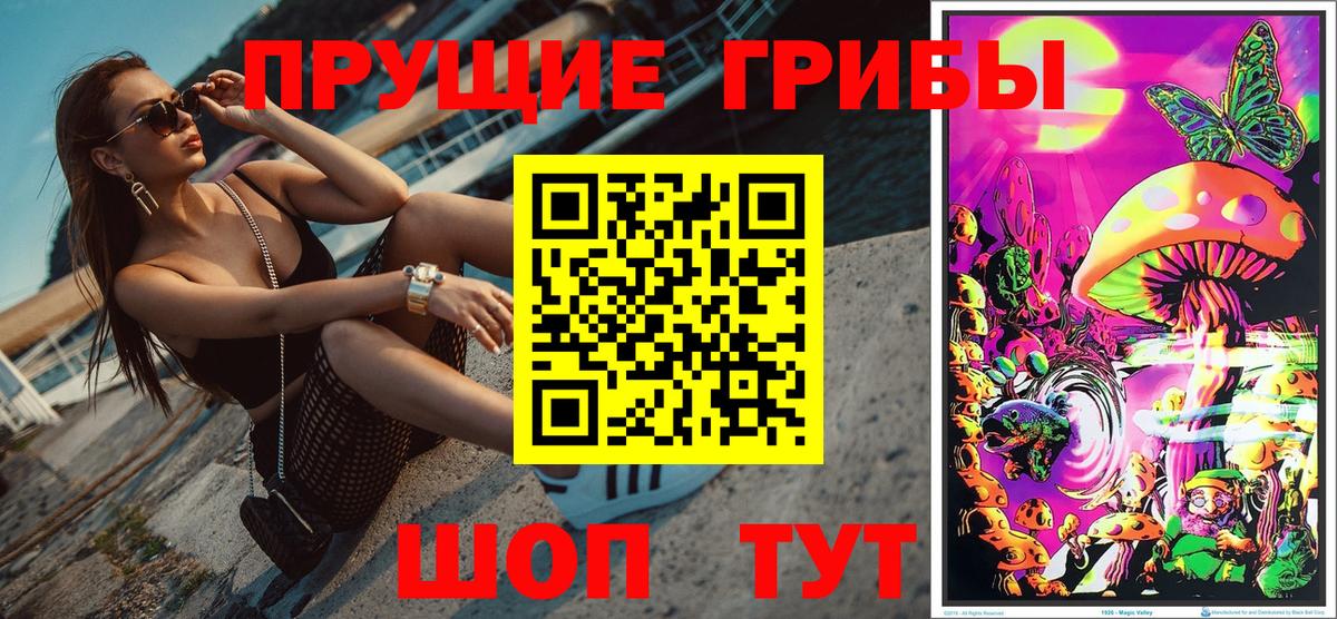 Псилоцибиновые грибы Psilocybe  закладки  Ессентуки  Вход с VPN 