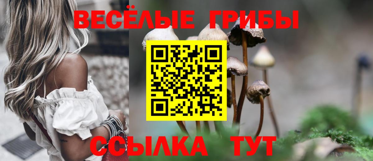 Галлюциногенные грибы мицелий Ессентуки
