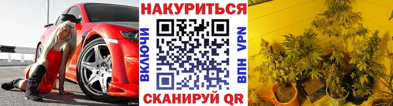 купить  сайты  Ессентуки  Бошки марихуана AK-47 
